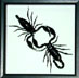 BBSC2