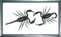 BESC2