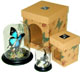 Dome Packaging
